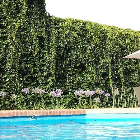 Malva Suite Salta Exterior photo